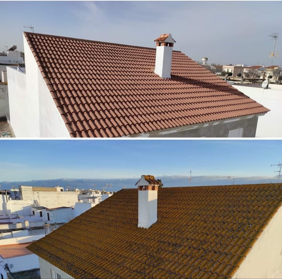 WhatsApp Image 2021-12-30 at 12.10.10